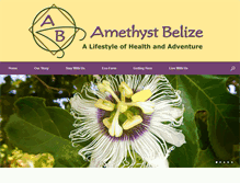 Tablet Screenshot of amethystbelize.com